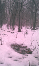 B9AB24C8-648A-47E8-B77D-60524543D50D