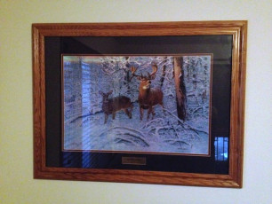 BB07924C-24B7-410F-B25D-C513FB53BAC0