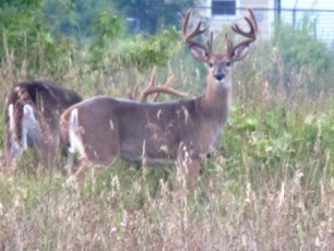 BC4608F5-059F-4249-9A5D-8F8292F36DFB