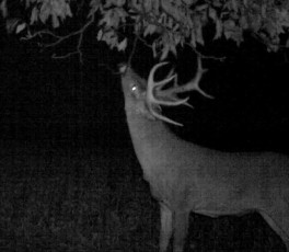 C33FD6EB-FC15-4344-AC87-4203F5B5C76F