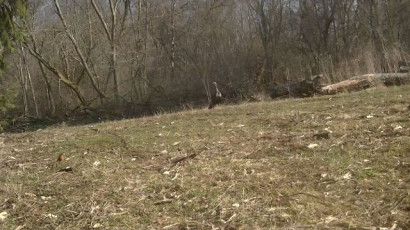 C36B4646-DFD5-470A-9337-6E9C308243D6