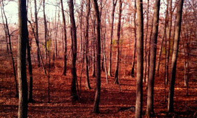 C4B7D71E-4157-43C0-8B43-0A1BEB501B84