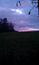 C7DFAC2F-01B8-4455-A03D-02761C0660A2