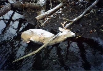 C8D54591-F016-45FE-9A24-85B427D02054