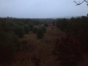 C8FDC7F6-3A07-4262-8FD2-DEF5A1F10DF3