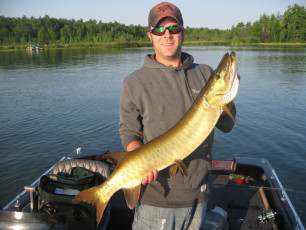 CA47219B-7994-4A50-95EA-29C8DC98EBC8