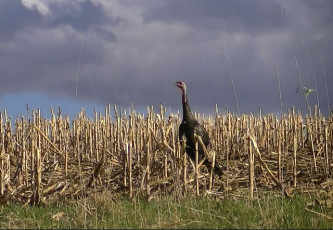 CBE8E31C-E27F-43E0-9BF5-6E468D68E404