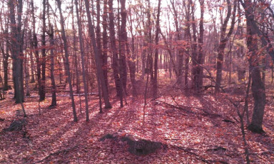 CD0BDA67-206A-4511-96BD-C34C33995B30