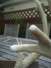 CE1B1379-6992-47E5-AC22-D79F3FC9C66D