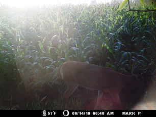 CF3AEC73-464F-40C5-BC41-7A4FF186AC85