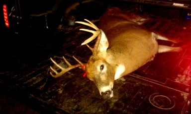 D0D74846-2883-4219-B991-BC4014C138C5