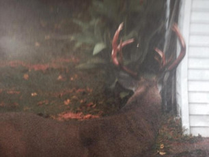 D1CC20FE-371E-4998-BD8A-3DDCA7AE3D2C