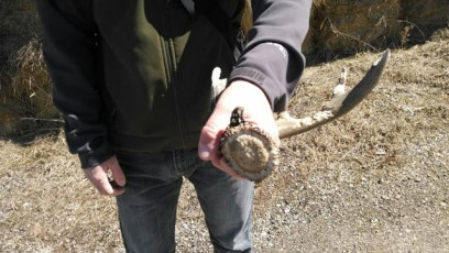 D29A6E87-7375-444D-B6CB-C21B4DA26BC3