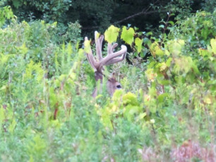 D5297694-4F4A-4BD7-83E1-AD9A9E9EFDDF