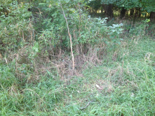 D6DA20B7-2C9C-4B00-884D-5106FC53CD89