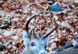 D931046E-DE6E-423D-AB3F-07333BCF1B28