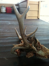 DA8248D0-8383-4DFE-9386-78222D5F6FE8