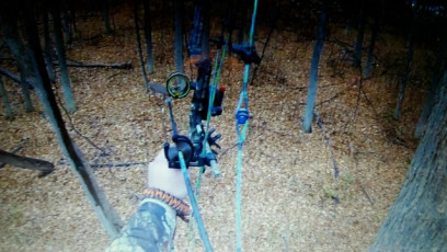 E0508CEA-FDD3-473E-8804-8FEEED87EC16