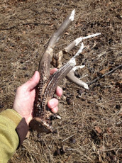 E4352726-3EA4-49B1-8D5D-108CD1FB714B