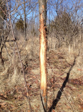 E94D502B-5676-418E-8FF5-0F1986094888