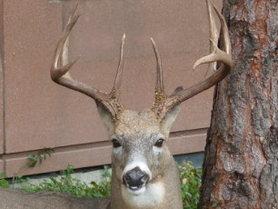 EB51401E-B01F-45C0-B8A8-DA75B9AB198E