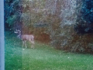 EB7F268A-2923-4412-AE24-F8903C44A0F0