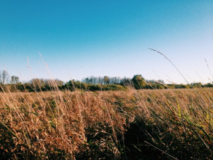 Processed with VSCOcam with c1 preset