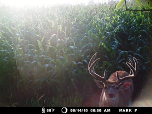 EE2B7EE9-A169-4224-929D-14972EBD9C27