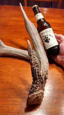 EE6A6D05-0877-45C8-B080-2ADD76923552