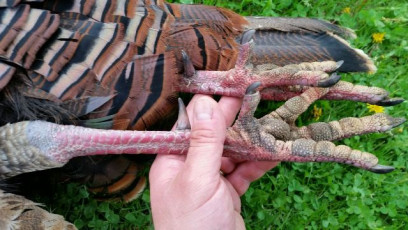 EFD433BC-E590-438A-A656-89F56400DD47