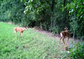 F19A3F7E-776C-4A76-BEC7-A3F7D781F623