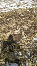 F1A176B8-9D71-4EE0-841D-8DECB66A8ED0