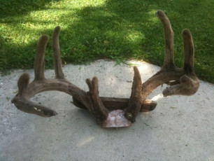 F25E360B-6828-4AD3-AA6D-3516F06D61FE