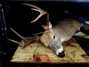 F29C5674-37CD-4C27-891A-28CF7FCD368A