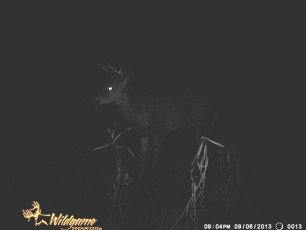 F3206889-9CD1-4472-8C91-7F8FBE36EAA1