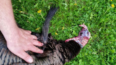 F766E32E-54CF-4FF7-A4C7-BB57EE825B73