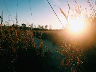 Processed with VSCOcam with c1 preset