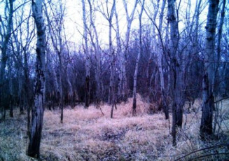 F8D0EC10-20ED-49BA-95CB-DDC7FA1AD496