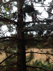 F9D2DA9C-798A-436D-ABAD-0F5CCA5A13F1