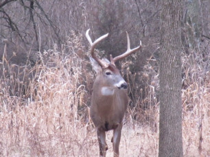 FA225DDE-7C61-4C99-B5DF-FCA194A65518