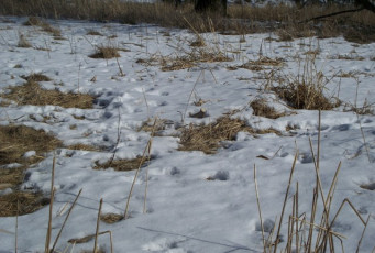 FADE6E0D-4C90-464F-85ED-B03ECF69D418