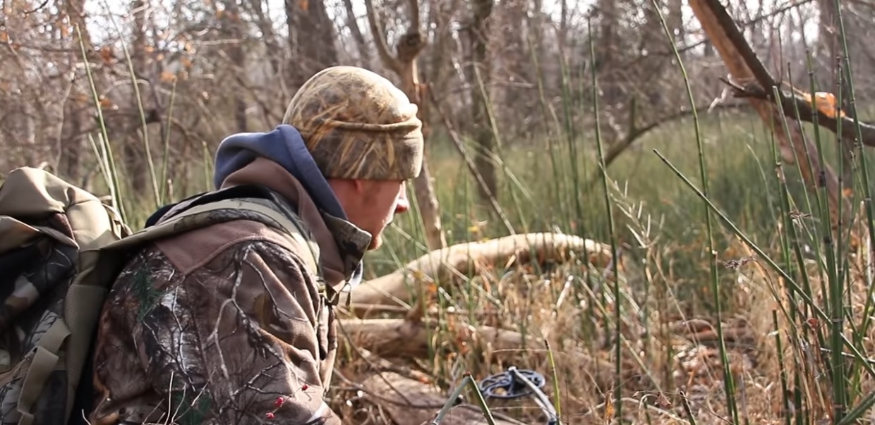 Tree Stand Placement Strategies For Public Land WhitetailFIRST
