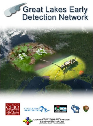 GLEarlyDetectionNetwork 2