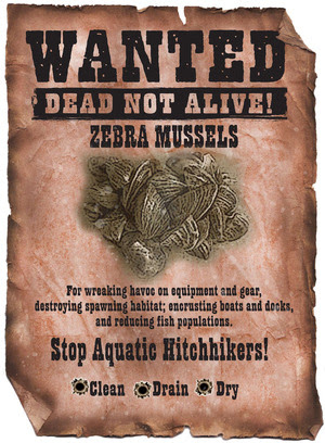 Wanted Poster_Zebra Mussels_2_1