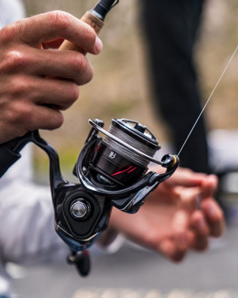 DAIWA: First Family of Spinning Reels