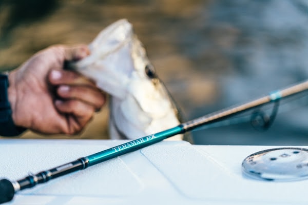 Spring Into Fishing with New Tackle From Shimano