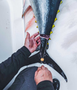 AFTCO Debuts 8 ICAST New Product Showcase Entries | OutdoorsFIRST