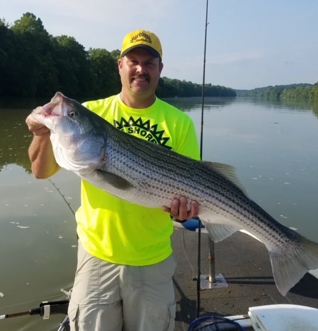 Big, Tennessee Stripers with Richard James of James Gang Trophy Fish