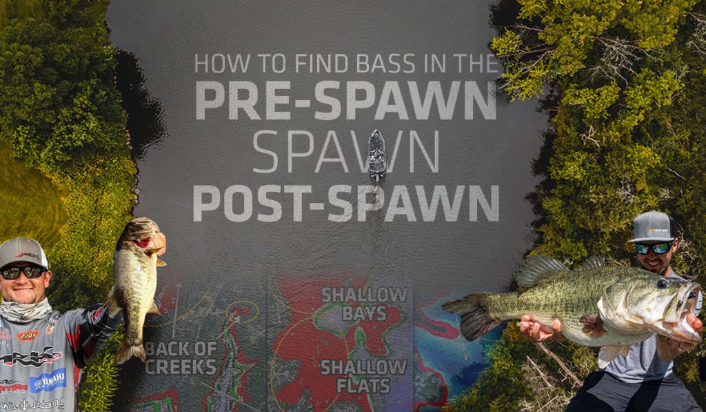How to Find Bass During PreSpawn, Spawn & PostSpawn OutdoorsFIRST