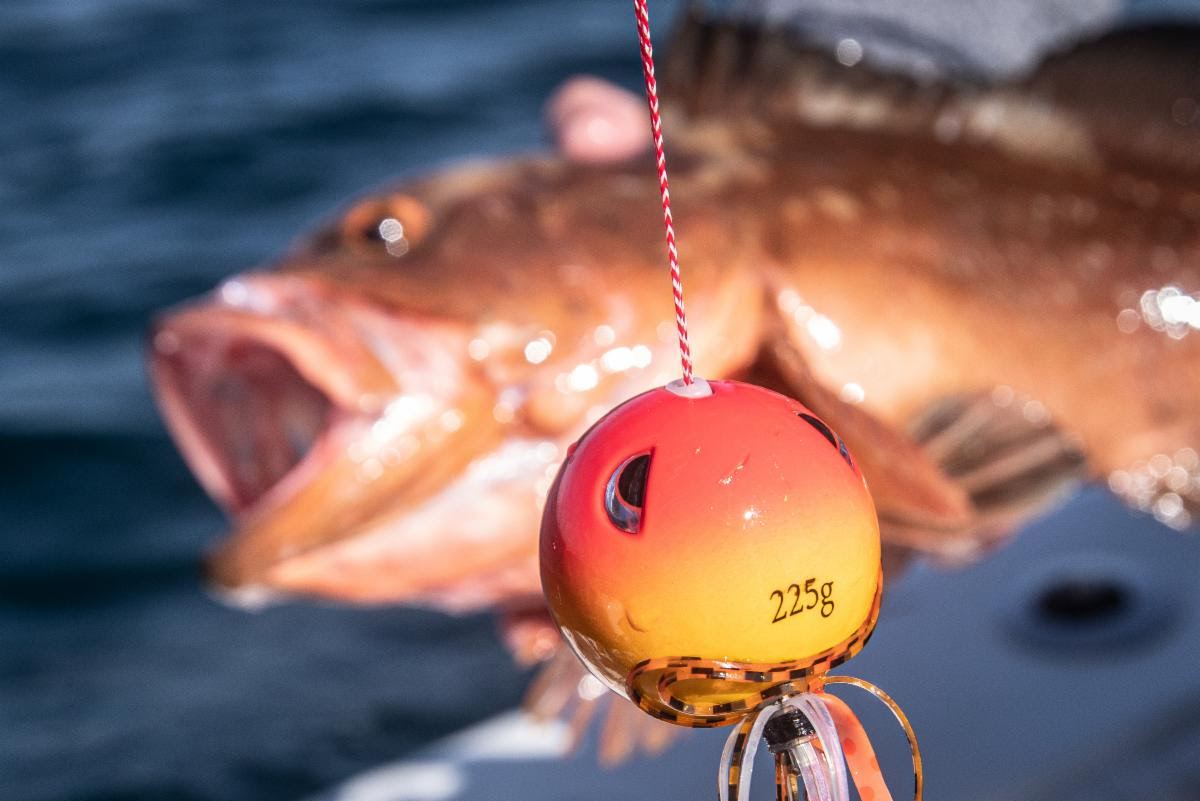 SPRO® Cannon Ball Saltwater Jigs Offer Unique Features For 'Limit Filler'  Success